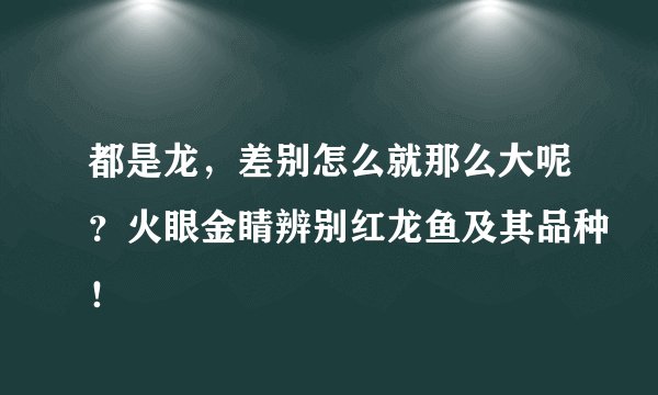 都是龙,差别怎么就那么大呢?火眼金睛辨别红龙鱼及其品种!