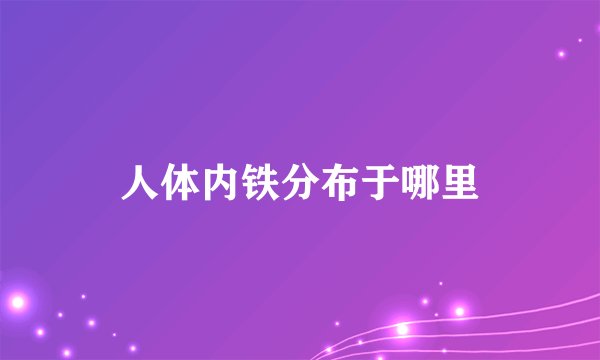 人体内铁分布于哪里