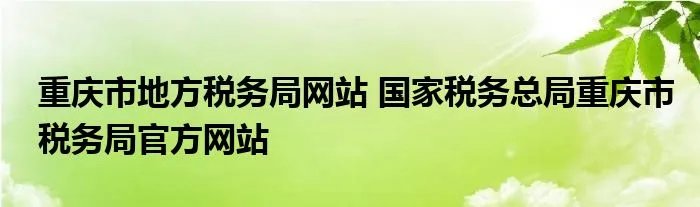重庆市地方税务局网站 国家税务总局重庆市税务局官方网站