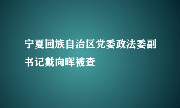 宁夏回族自治区党委政法委副书记戴向晖被查