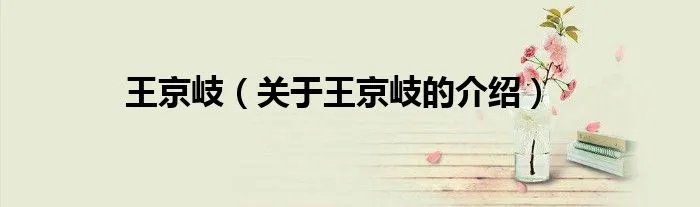 王京岐（关于王京岐的介绍）