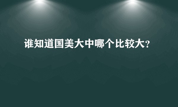 谁知道国美大中哪个比较大？