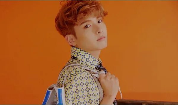 super junior成员介绍是什么?