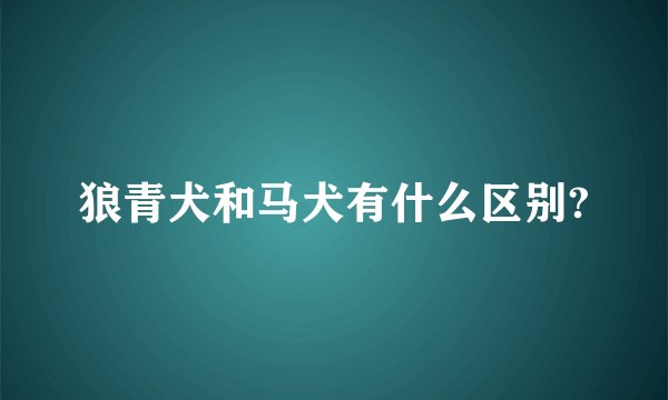 狼青犬和马犬有什么区别?