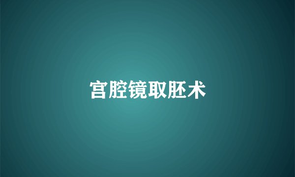 宫腔镜取胚术