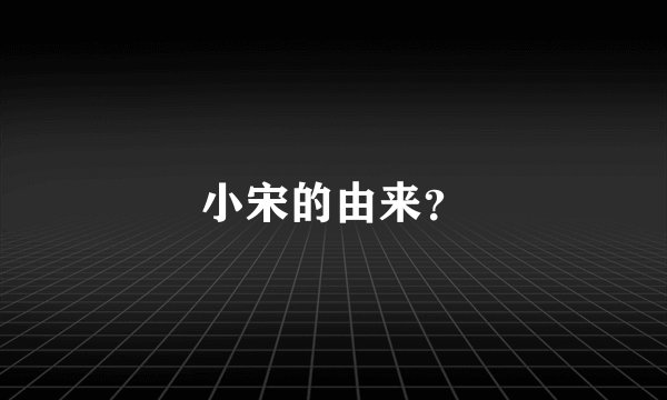 小宋的由来？