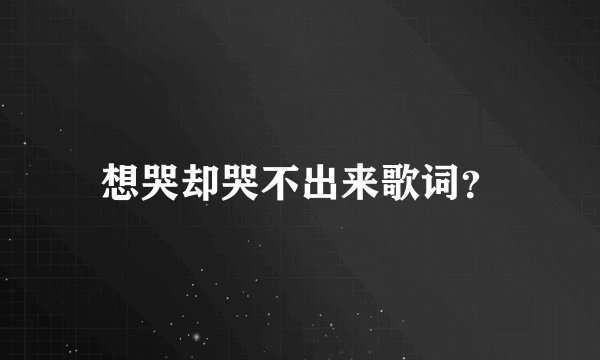 想哭却哭不出来歌词？