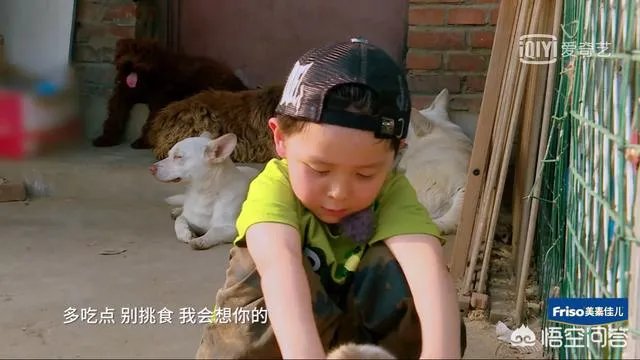 邓莎家的大麟子你们喜欢吗?