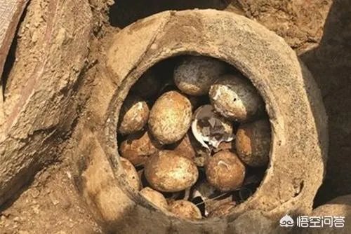 古墓挖出一罐2500年前的鸡蛋,怎么吃?