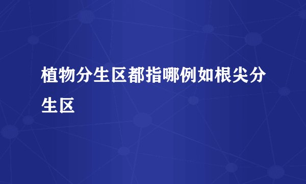 植物分生区都指哪例如根尖分生区