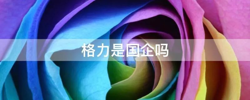 格力是国企吗