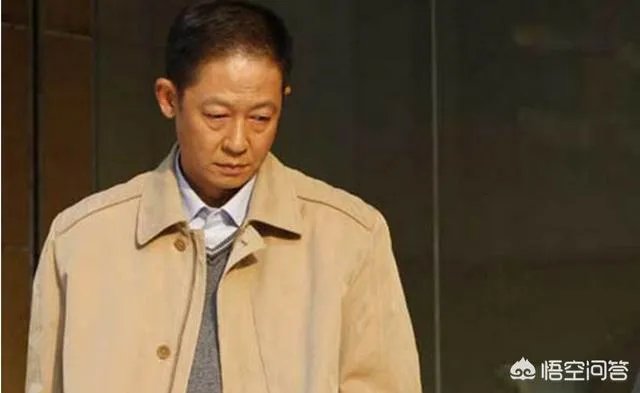 你怎么看电视剧《归去来》中王志文扮演的书望?