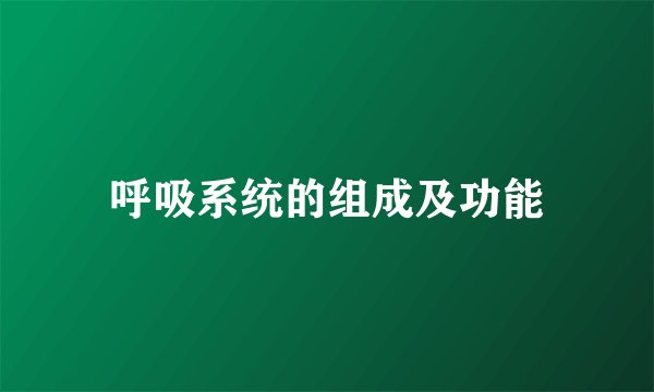 呼吸系统的组成及功能