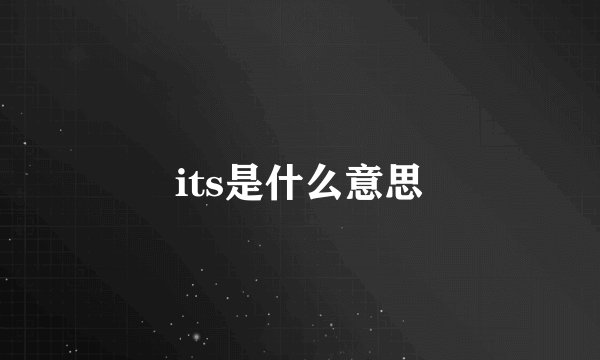 its是什么意思