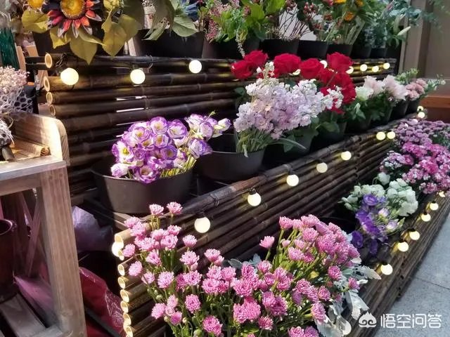 自驾游,你遇到过艳遇吗?哪里的景区才能遇到?