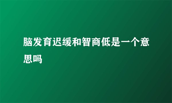 脑发育迟缓和智商低是一个意思吗
