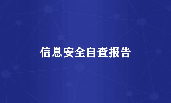 信息安全自查报告