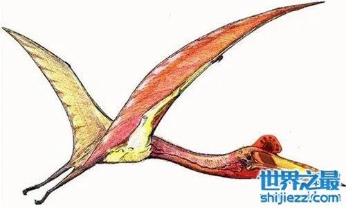 虾蟆螈以吃恐龙生存 已灭绝的史前恐怖生物
