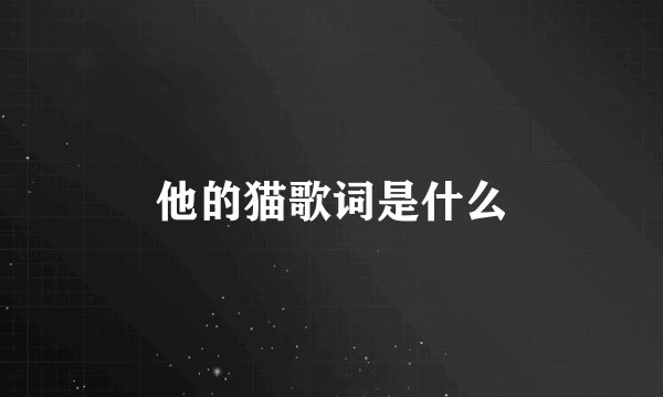 他的猫歌词是什么