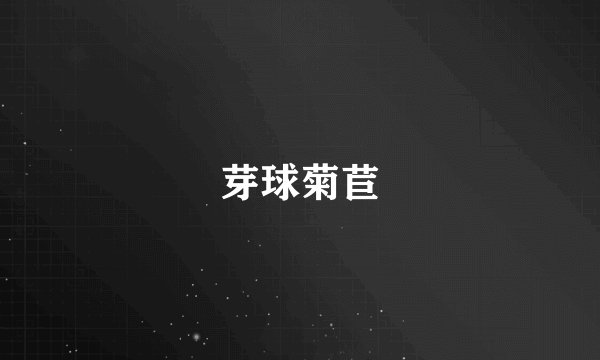 芽球菊苣