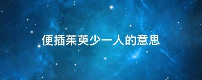 便插茱萸少一人的意思