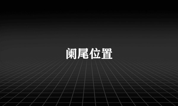 阑尾位置