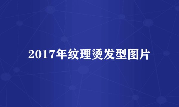 2017年纹理烫发型图片