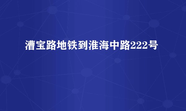 漕宝路地铁到淮海中路222号