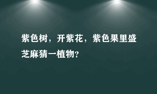 紫色树，开紫花，紫色果里盛芝麻猜一植物？