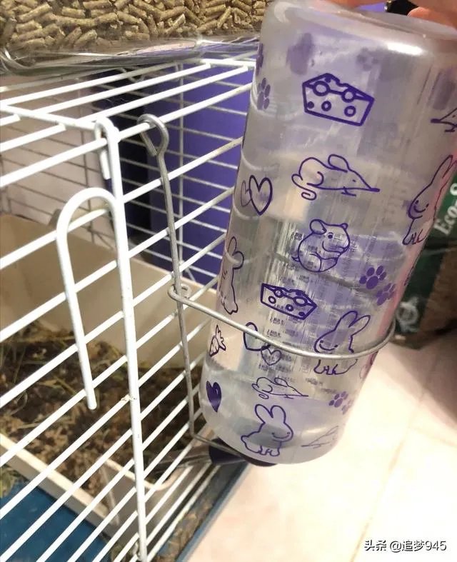 种兔该怎么养殖?