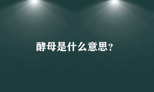 酵母是什么意思？