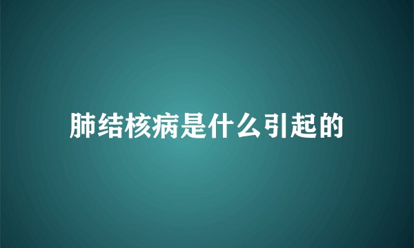 肺结核病是什么引起的