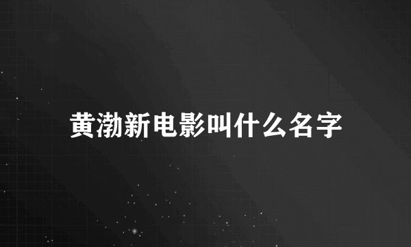 黄渤新电影叫什么名字
