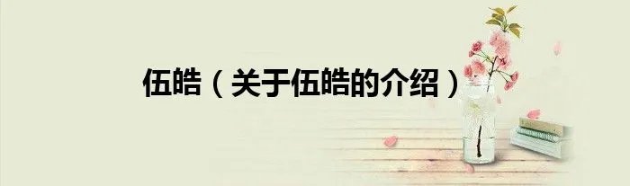 伍皓(关于伍皓的介绍)