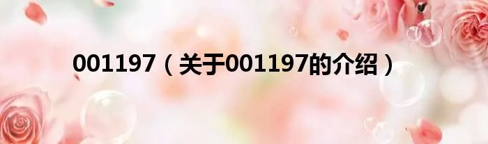 001197（关于001197的介绍）