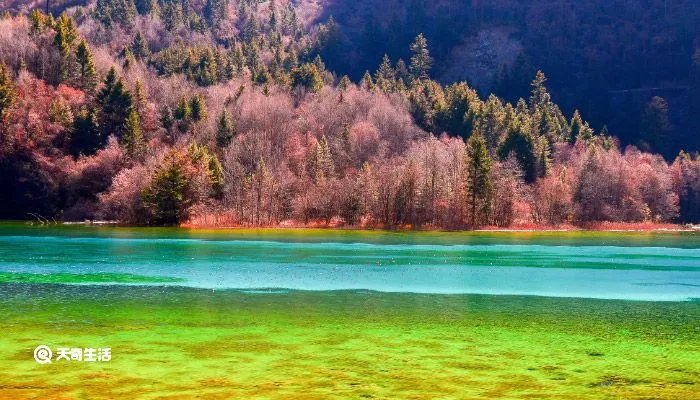 九寨沟在四川哪个城市