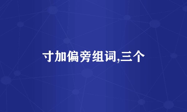 寸加偏旁组词,三个