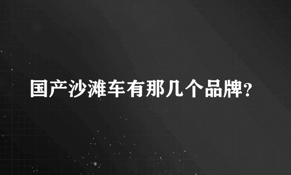 国产沙滩车有那几个品牌？