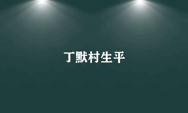 丁默村生平