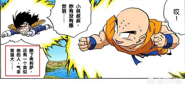 库尔德王