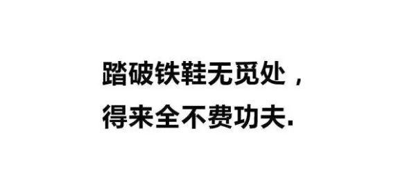 踏破铁鞋无觅处是什么意思呢?