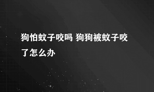 狗怕蚊子咬吗 狗狗被蚊子咬了怎么办