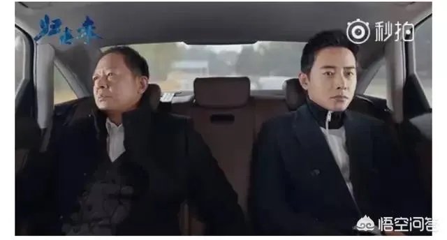 你怎么看电视剧《归去来》中王志文扮演的书望?