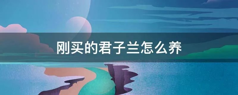 刚买的君子兰怎么养