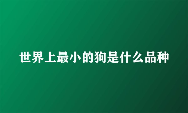 世界上最小的狗是什么品种