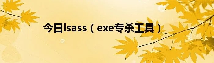 今日lsass（exe专杀工具）