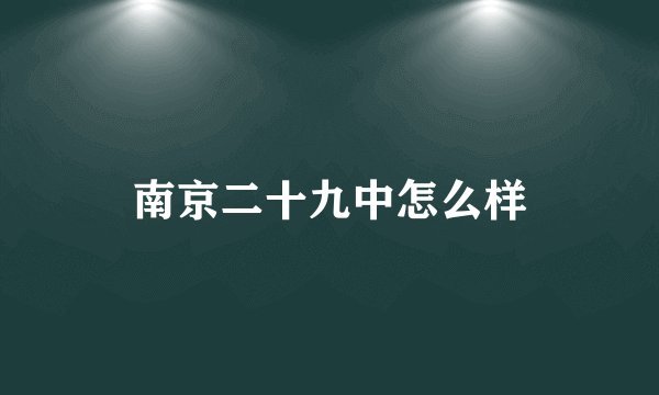 南京二十九中怎么样