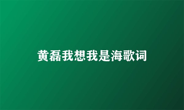 黄磊我想我是海歌词