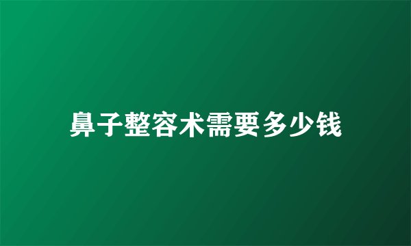 鼻子整容术需要多少钱