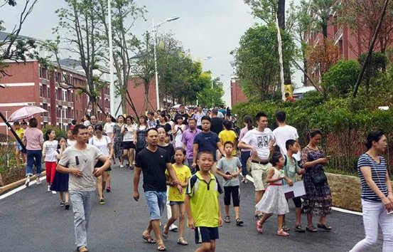 教育部如何回应分流的呢？